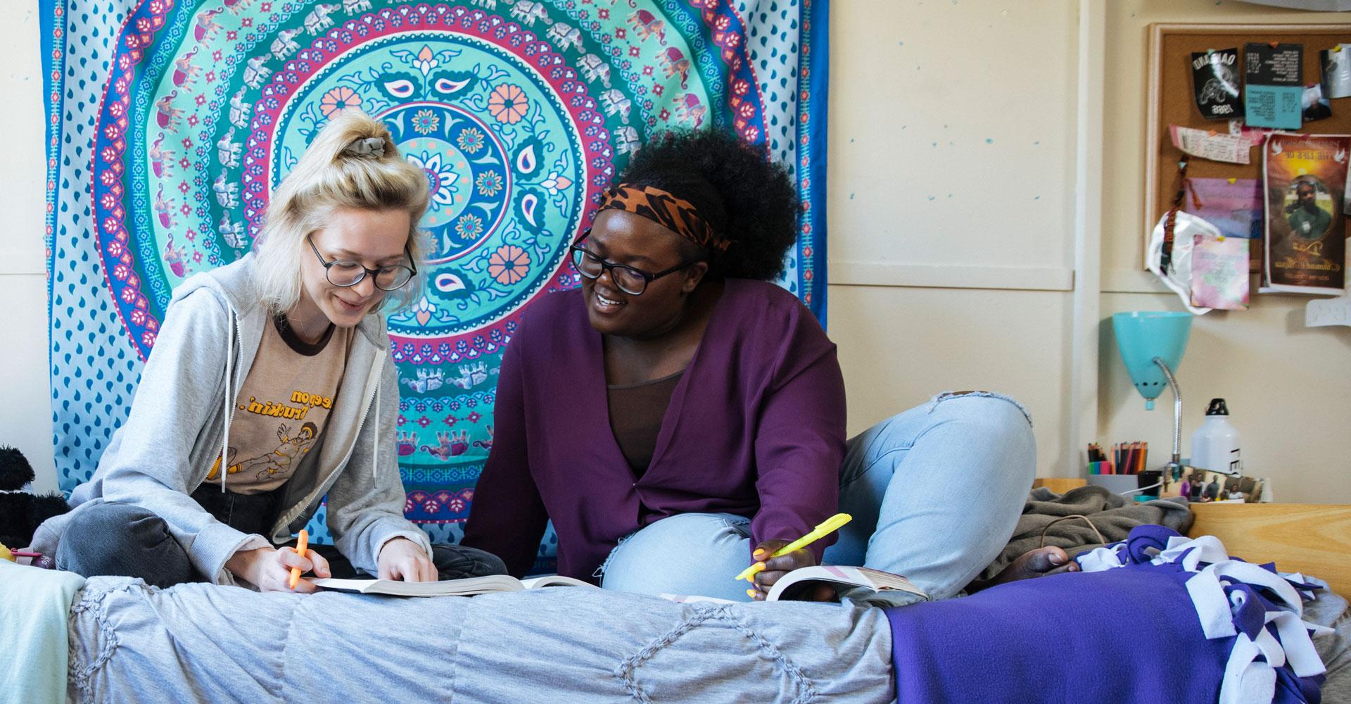 two students studying in a dorm room